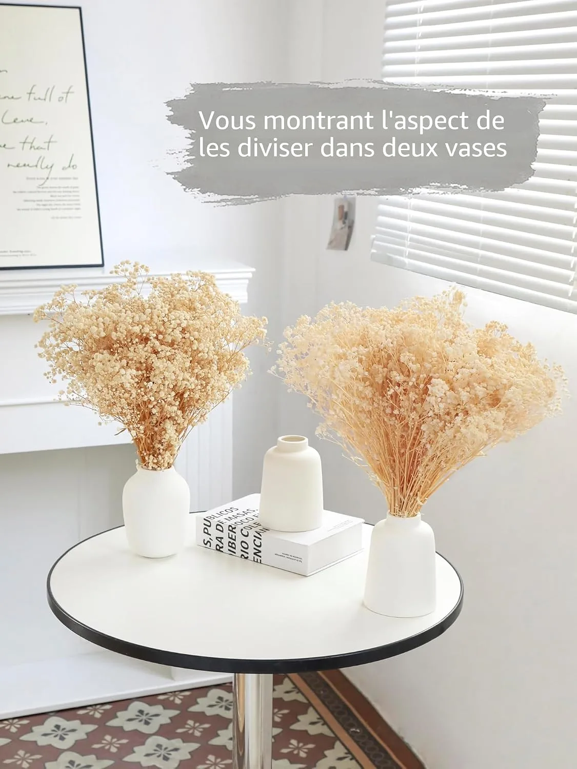 Gypsophile Séché